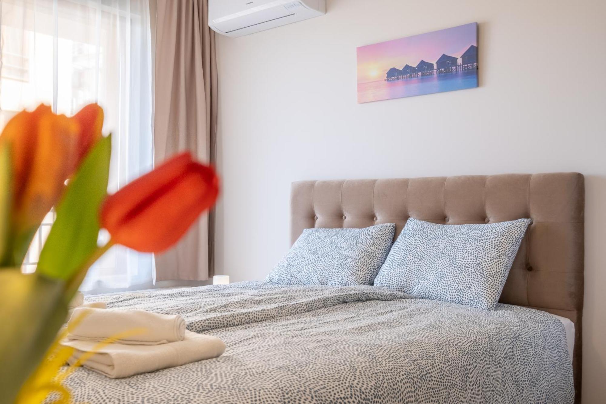 Sunny Dream Apartments ソフィア エクステリア 写真